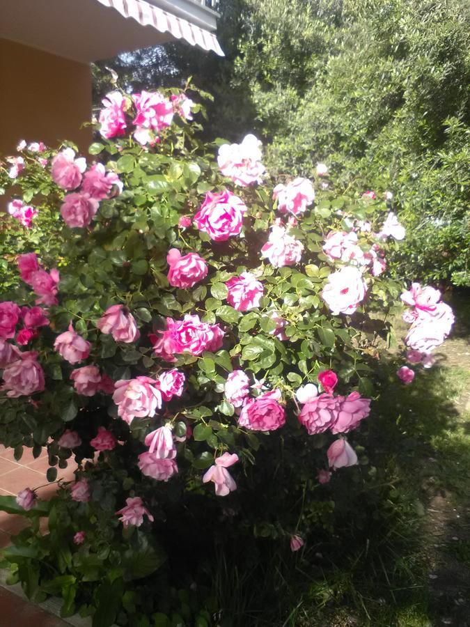 Apartamento Braccianese